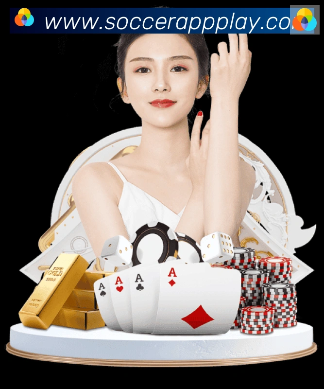 企业概况